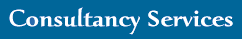 Consultancy Services